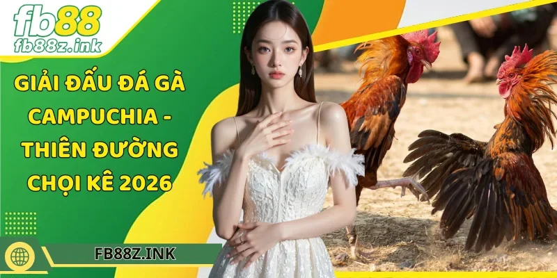 giải đấu đá gà Campuchia