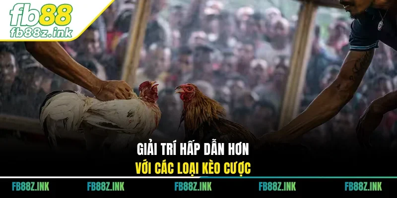 Giải trí hấp dẫn hơn với các loại kèo cược