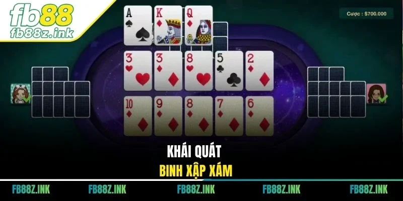 Khái quát Binh xập xám