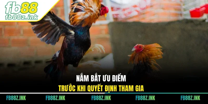 Nắm bắt ưu điểm trước khi quyết định tham gia