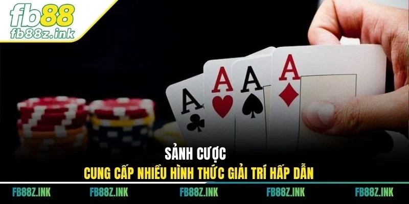 Sảnh cược cung cấp nhiều hình thức giải trí hấp dẫn