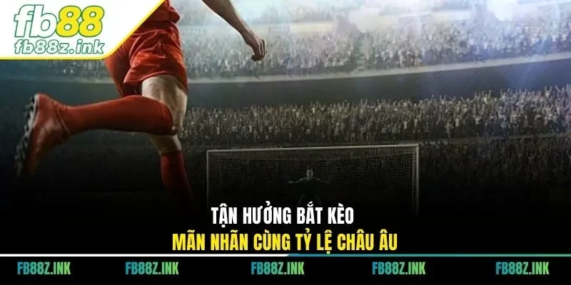 Tận hưởng bắt kèo mãn nhãn cùng tỷ lệ Châu Âu