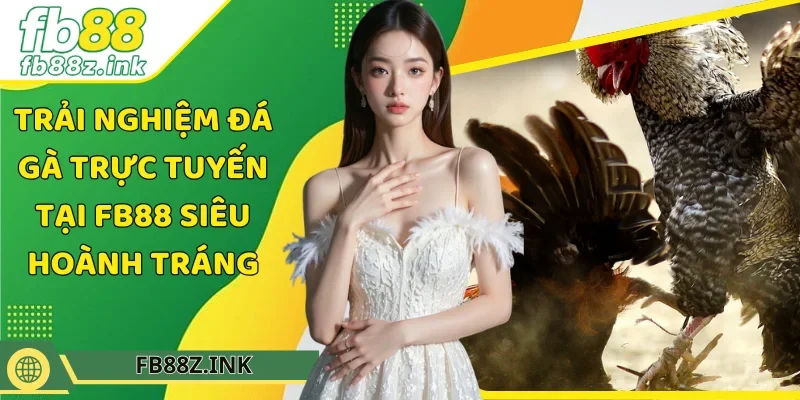 trải nghiệm đá gà trực tuyến tại FB88
