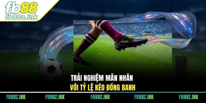 Trải nghiệm mãn nhãn với tỷ lệ kèo đồng banh