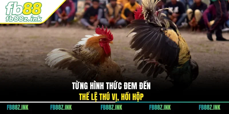 Từng hình thức đem đến thể lệ thú vị, hồi hộp